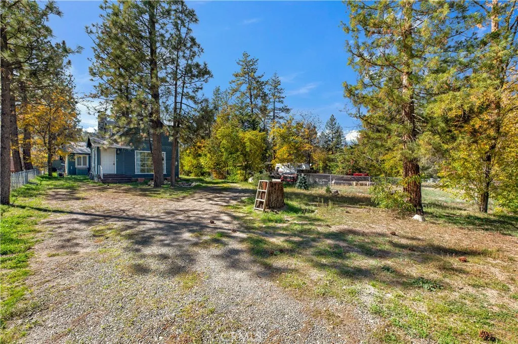 59347 State Highway 74, Mountain Center, California 92561 home-pic-4